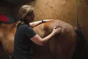 Lisa Ives osteopathy on horse